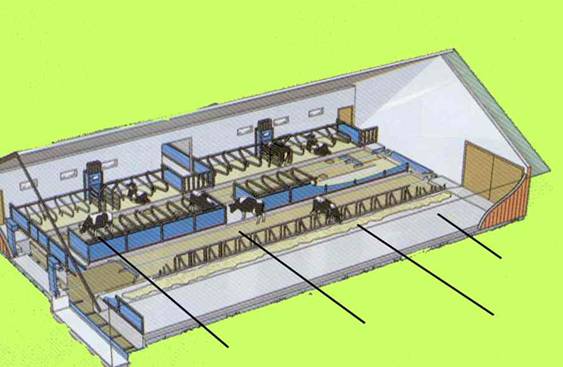 Serbest durakl? ah?r